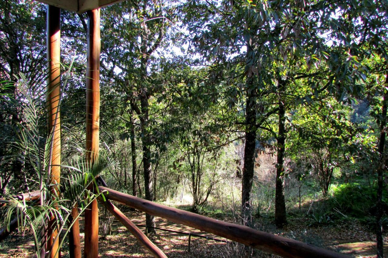 Old Pine Cabin Karkloof Yarrow Extérieur photo